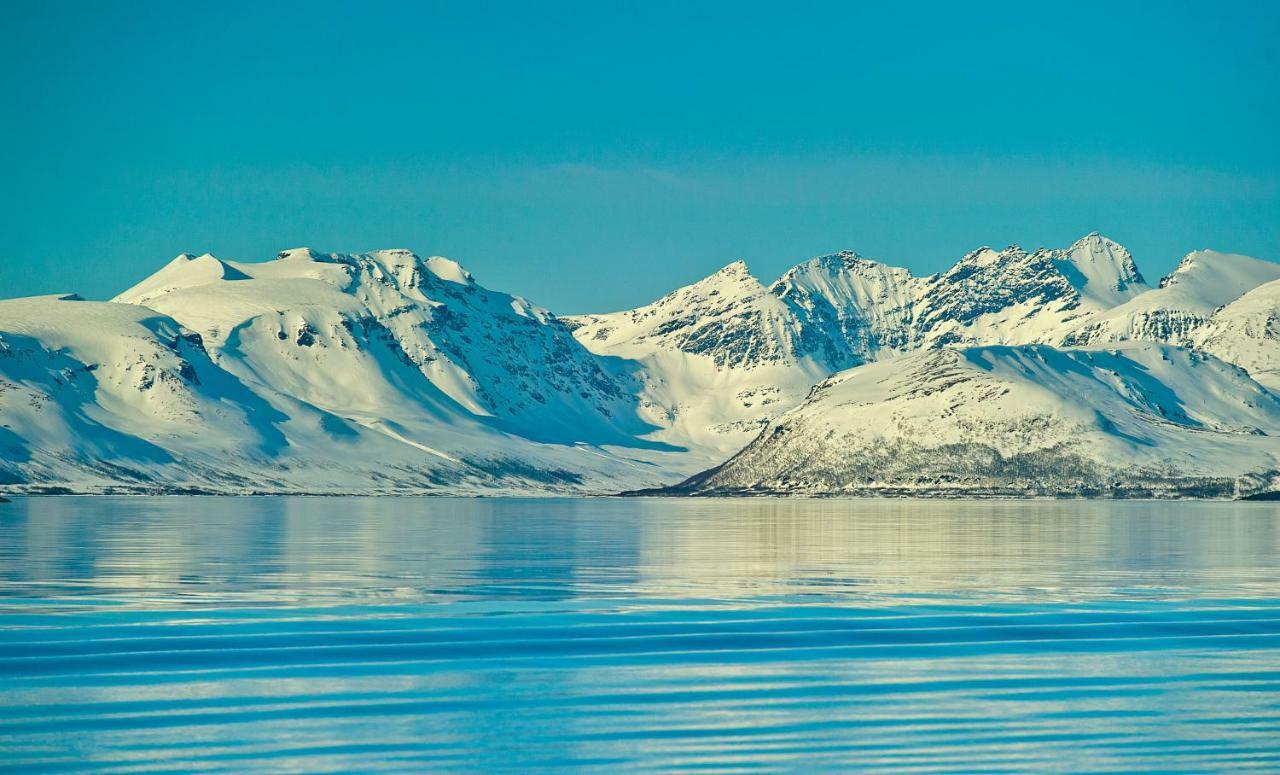 Lyngen Experience Apartments Nord-Lenangen 외부 사진