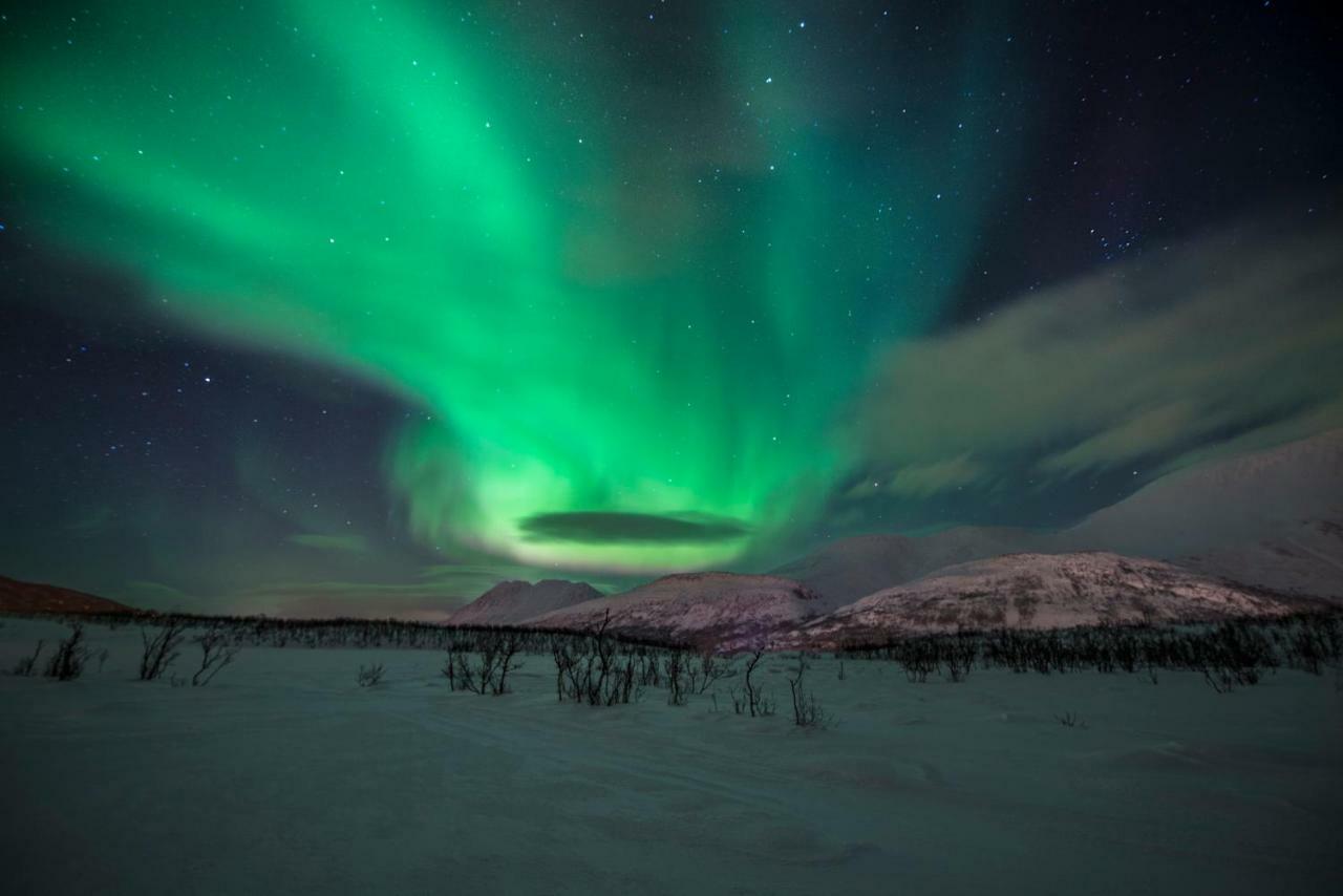 Lyngen Experience Apartments Nord-Lenangen 외부 사진